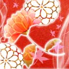 薫実先生のプロフィール