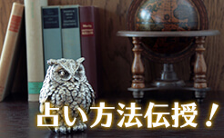 占い方法伝授！