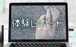 体験レポート