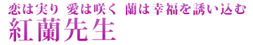紅蘭先生